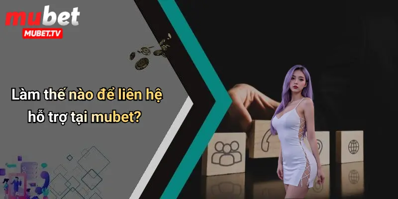 Làm thế nào để liên hệ hỗ trợ tại mubet?