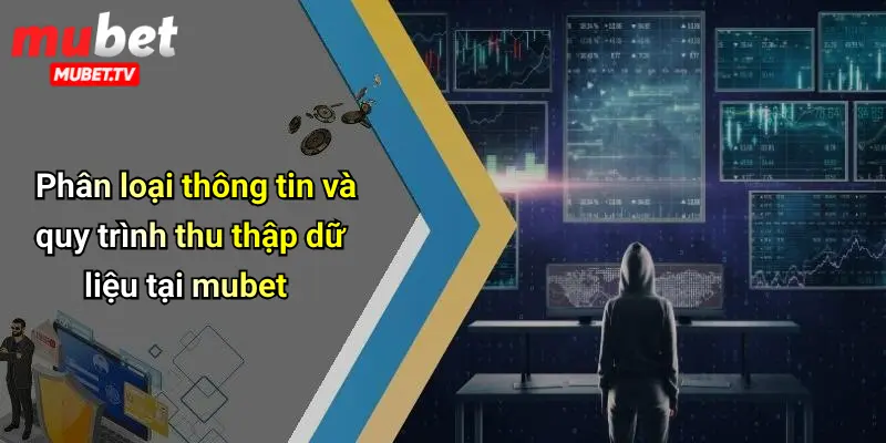 Phân loại thông tin và quy trình thu thập dữ liệu tại mubet